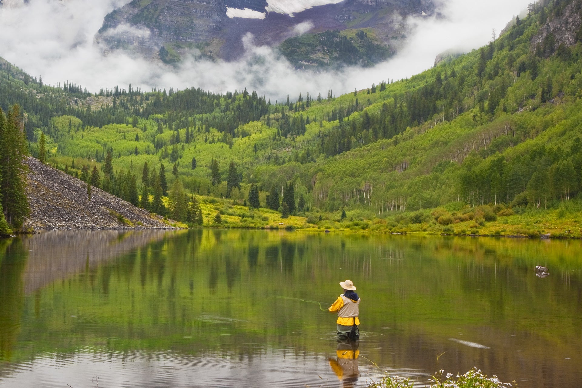 3 Pack Goddard Caddis Black Dry Fly - Hook Size 12