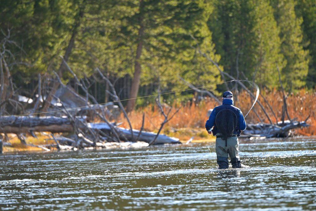 Tungsten Bead Black Perdigon Tactical Jig Czech Euro Nymph Spanish Nymphing Fly - 6 Flies Size 14