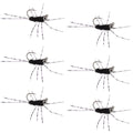 Barbless Pat's Barred Rubber Legs Tungsten Bead Jigged Black Euro Nymph  - Set of 6 Flies Hook Size 6
