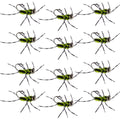 Barbless Pat's Barred Rubber Legs Tungsten Bead Jigged Black/Chartreuse Euro Nymph  - Set of 12 Flies Hook Size 6