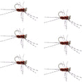 Barbless Pat's Barred Rubber Legs Tungsten Bead Jigged Brown Euro Nymph  - Set of 6 Flies Hook Size 6