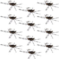 Barbless Pat's Barred Rubber Legs Tungsten Bead Jigged Coffee/Black Euro Nymph  - Set of 12 Flies Hook Size 6