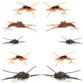 Basics Collection - Kaufmann's Stonefly Nymph Assortment - 10 Bead Head Rubber Legs Wet Flies - 5 Patterns - Hook Sizes 4, 6, 8, 10, and 12