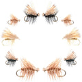 Basics Collection - Elk Hair Caddis Dry Fly Assortment - 10 Dry Fishing Flies - 5 Patterns - Hook Sizes 12, 14, 16, 18