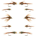 Basics Collection - Bead Head Pheasant Tail Nymph Assortment - 10 Wet Flies - Hook Sizes 14, 16, 18