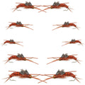 Basics Collection - Kaufmann's Brown Stonefly Nymph Assortment 10 Bead Head Rubber Legs Wet Flies - Hook Sizes 6, 8, 10, and 12