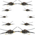 Basics Collection - Kaufmann's Black Stonefly Nymph Assortment - 10 Bead Head Rubber Legs Wet Flies - 2 Each Hook Sizes 4, 6, 8, 10, and 12