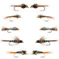 Basics Collection - Flash Back Tungsten Bead Head Nymph Assortment - 10 Wet Flies - 5 Patterns - Hook Sizes 10, 12, 14, 16