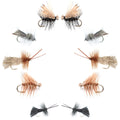 Basics Collection - Essential Caddis Dry Fly Assortment - 10 Dry Fishing Flies - 5 Patterns - Hook Sizes 12, 14, 16, 18