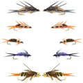 Basics Collection - Double Bead Head Nymph Assortment - 10 Wet Flies - 5 Patterns - Hook Size 10