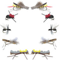 Basics Collection - Terrestrials Dry Fly Assortment - 10 Dry Fishing Flies - Hopper, Ant and Beetle Fishing Fly Patterns - Hook Sizes 10, 12 and 14