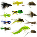 Bass Bug Collection -12 Bass Fly Fishing Flies - Surface Poppers Frog, Rat, Mouse Divers  - Hook Sizes 2,4, 6 And 8