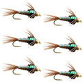 Barbless Bead Head Flashback Pheasant Tail Nymph Fly 6 Flies Hook Size 14