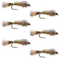 Classic Weighted Flashback Gold Ribbed Hares Ear Nymph - Set of 6 Flies - Size 14