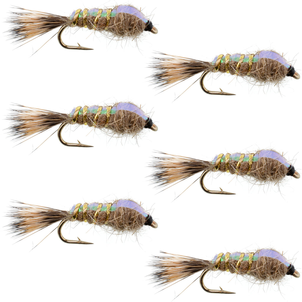 Classic Weighted Flashback Gold Ribbed Hares Ear Nymph - Set of 6 Flies - Size 12