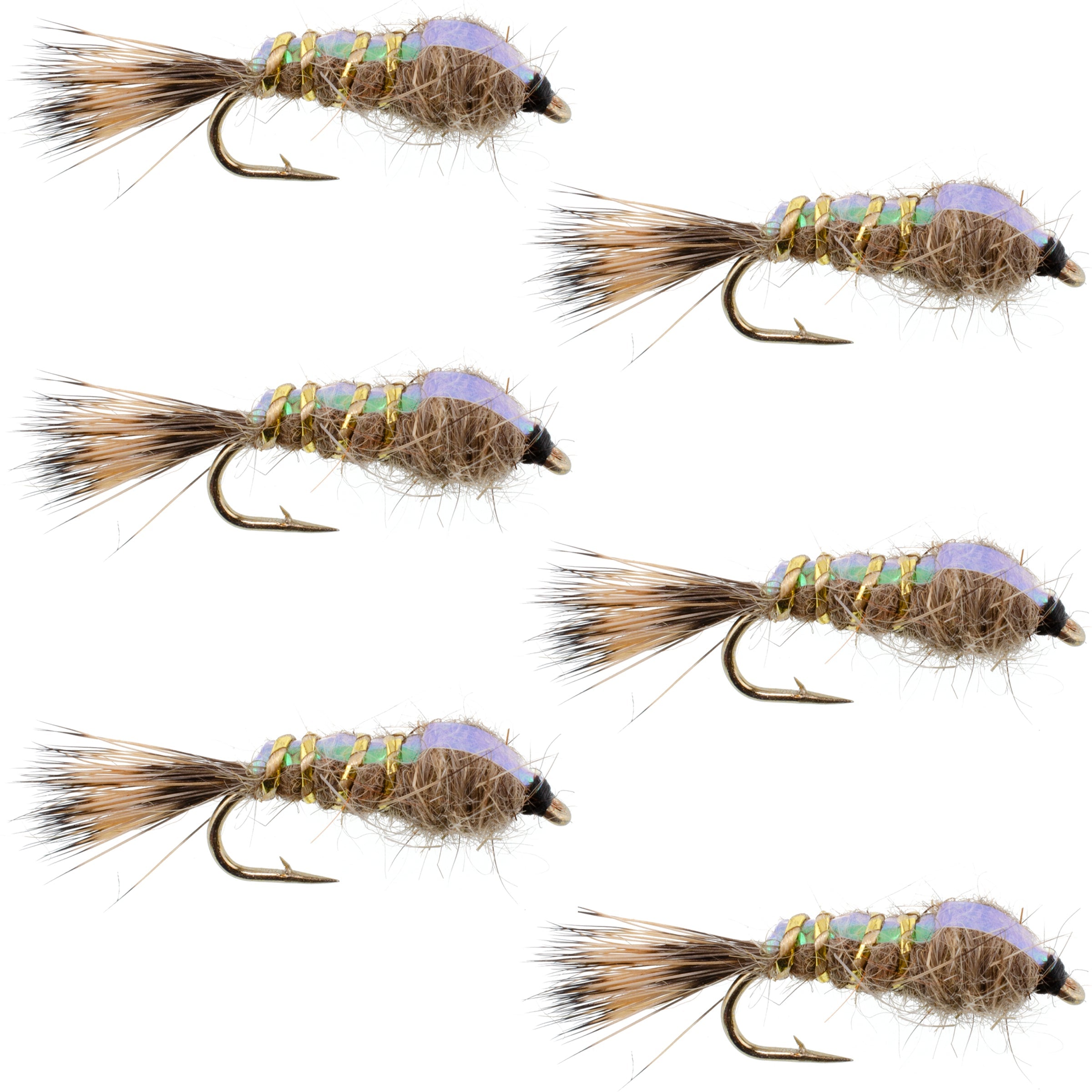Classic Weighted Flashback Gold Ribbed Hares Ear Nymph - Set of 6 Flies - Size 12