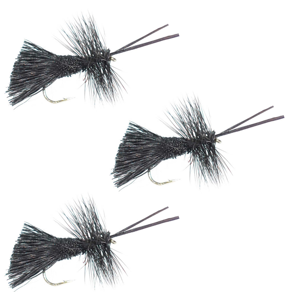 3 Pack Goddard Caddis Black Dry Fly - Hook Size 12