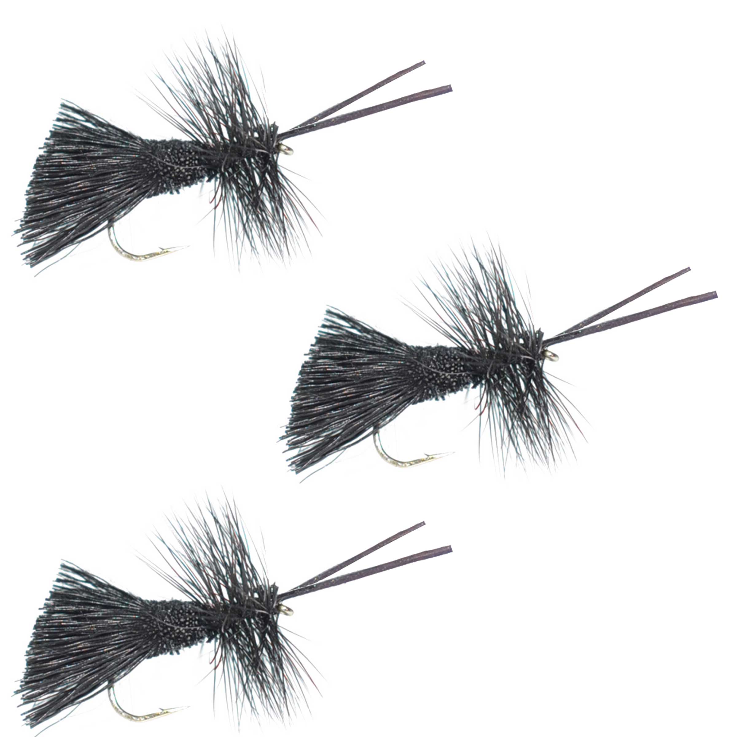 3 Pack Goddard Caddis Black Dry Fly - Hook Size 12