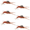 Gold Bead Kaufmann's Brown Stone Fly with Rubber Legs - Stonefly Wet Fly - 6 Flies Hook Size 6