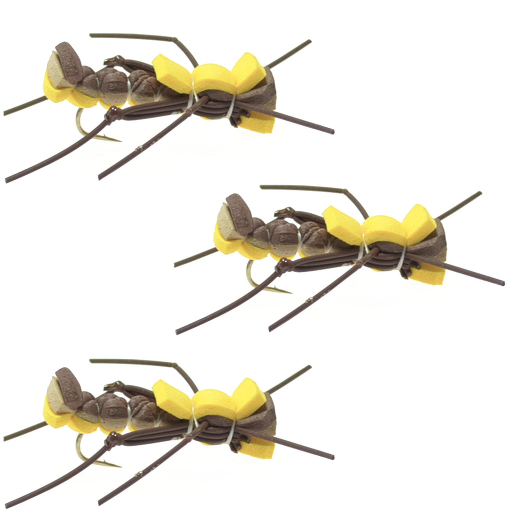 3 Pack Mantis BLT Foam Body Grasshopper Fly - Hook Size 10