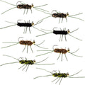 Tungsten Bead Jigged Pat's Rubber Legs Euro Nymph Assortment Fly Fishing Flies - 8 Flies Hook Size 10
