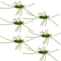Barbless Pat's Rubber Legs Tungsten Bead Jigged Black/Chartreuse Euro Nymph  - Set of 6 Flies Hook Size 10