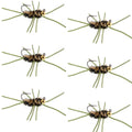 Barbless Pat's Rubber Legs Tungsten Bead Jigged  Coffee/Black Euro Nymph  - Set of 6 Flies Hook Size 10
