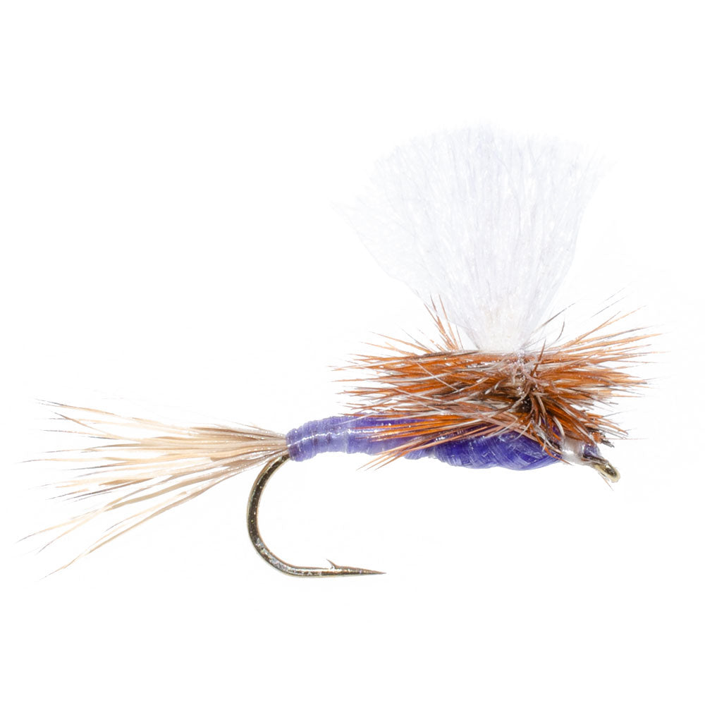 Parachute Purple Haze Dry Fly - 12 Flies Size 16