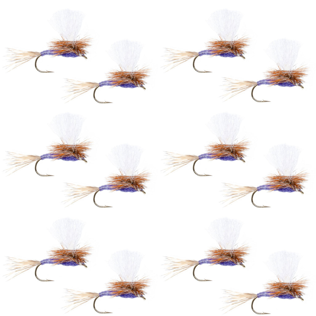 Parachute Purple Haze Dry Fly - 12 Flies Size 12