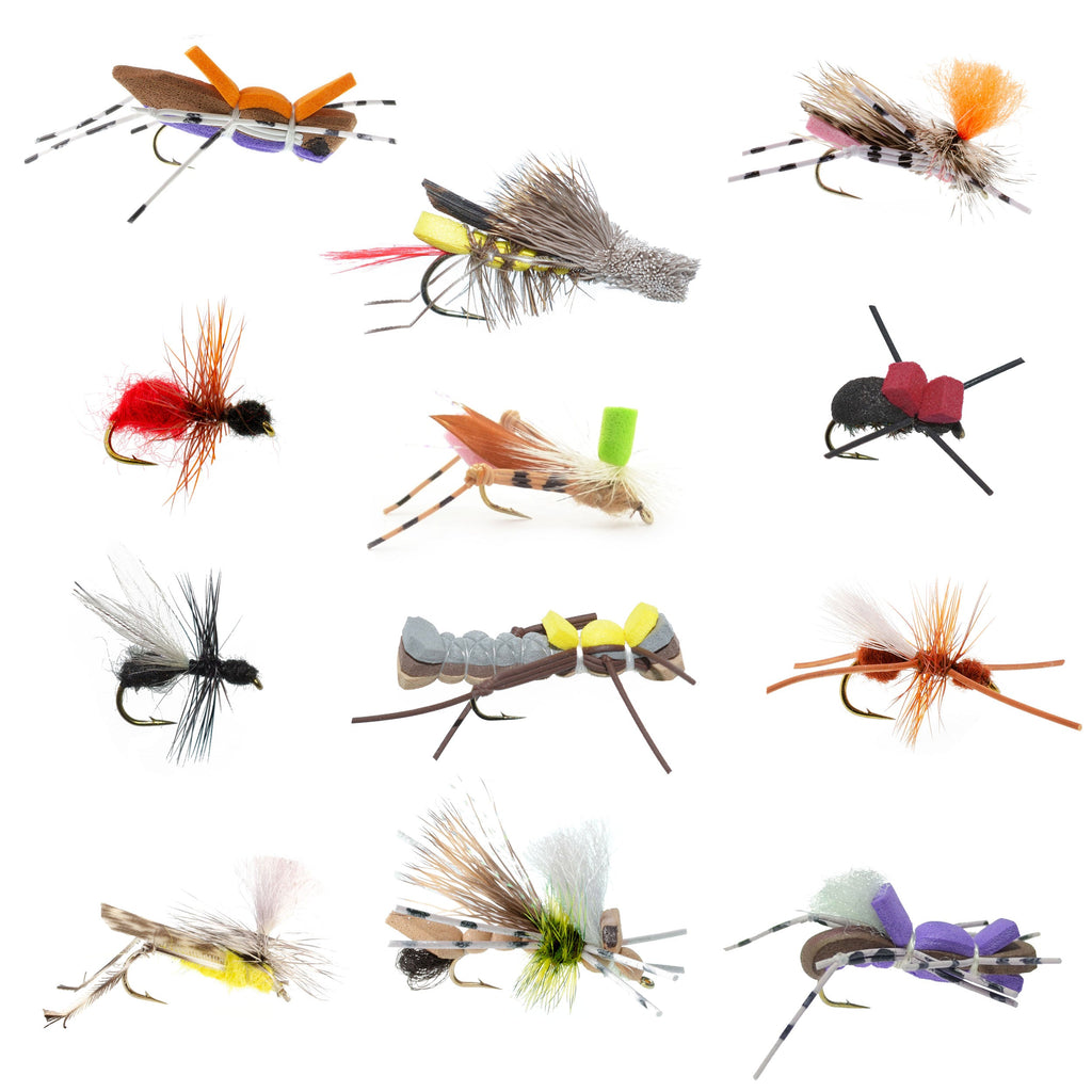 Trout Fly Assortment - Essential Terrestrials Fly Fishing Flies Collection - Includes Foam Hoppers, Ants, Beetles, and Cicadas - 1 Dozen Trout Flies with Fly Box