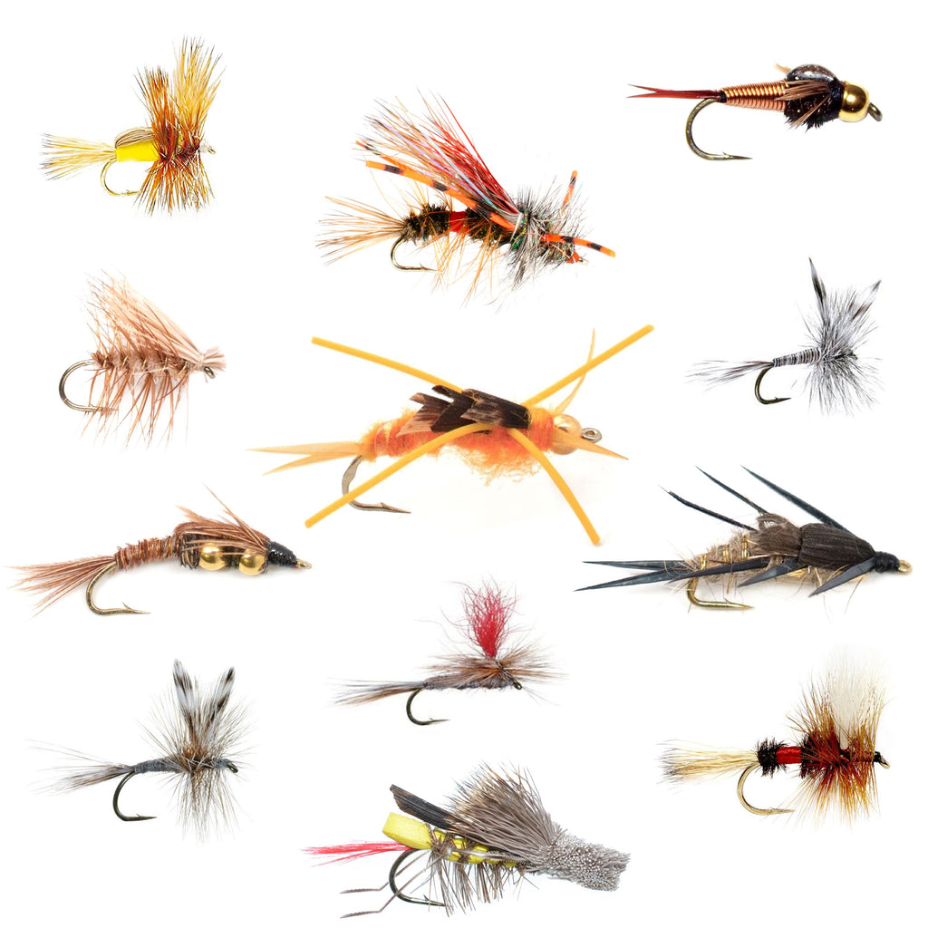 Trout Fly Assortment - Essential Western Dry and Nymph Fly Fishing Flies Collection - 1 Dozen Trout Flies with Fly Box