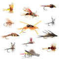 Trout Fly Assortment - Essential Western Dry and Nymph Fly Fishing Flies Collection - 1 Dozen Trout Flies with Fly Box