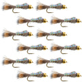 Tungsten Bead Flashback Gold Ribbed Hare's Ear Trout Fly 1 Dozen Nymph Wet Flies Size 18