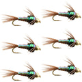 Bead Head Flash Back Pheasant Tail Nymph Fly Fishing Flies - 6 Flies Hook Size 12