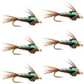 Bead Head Flash Back Pheasant Tail Nymph Fly Fishing Flies - 6 Flies Hook Size 10