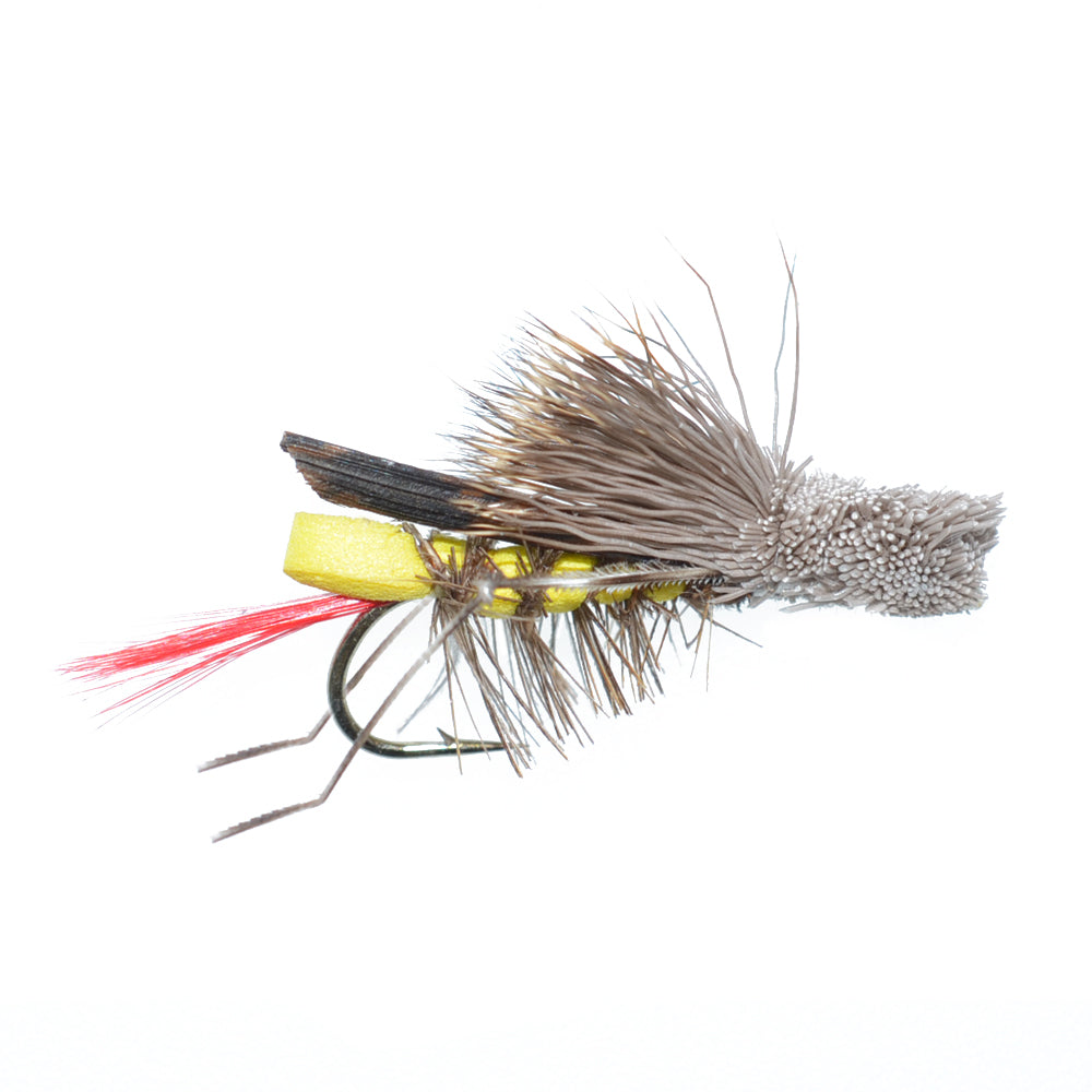 Basics Collection - Terrestrials Dry Fly Assortment - 10 Dry Fishing Flies - Hopper, Ant and Beetle Fishing Fly Patterns - Hook Sizes 10, 12 and 14