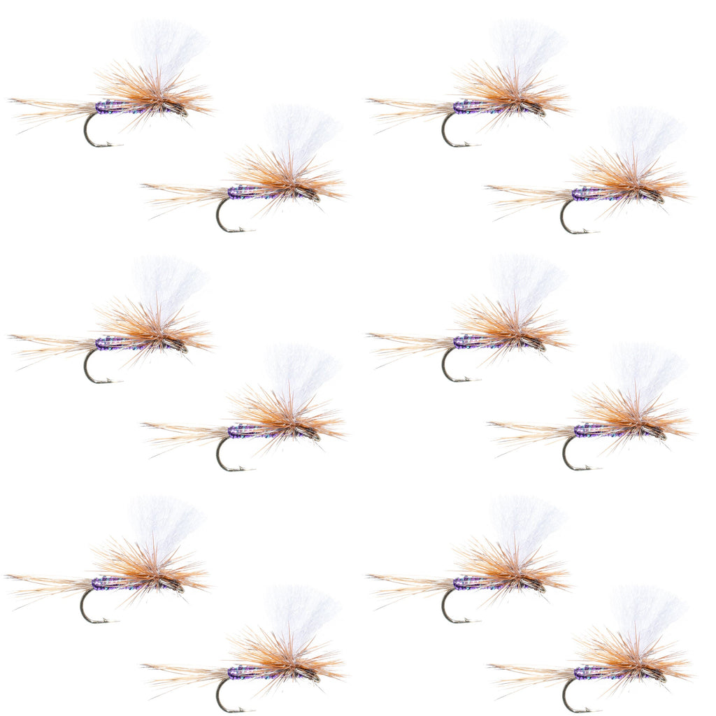 Parachute Super Flash Purple Haze Dry Fly - 12 Flies Size 12