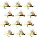 Olive X Caddis Emerging Caddis Adult Trout Dry Fly - 1 Dozen Flies Hook Size 18