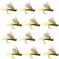 Olive X Caddis Emerging Caddis Adult Trout Dry Fly - 1 Dozen Flies Hook Size 16
