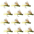 Olive X Caddis Emerging Caddis Adult Trout Dry Fly - 1 Dozen Flies Hook Size 14
