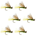 Olive X Caddis Emerging Caddis Adult Trout Dry Fly - 6 Flies Hook Size 14