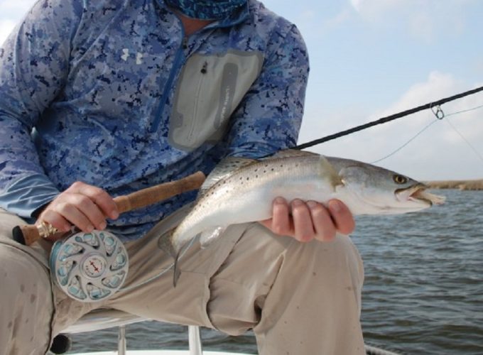 Book the perfect trip for you with Dupe a Fish online booking services!